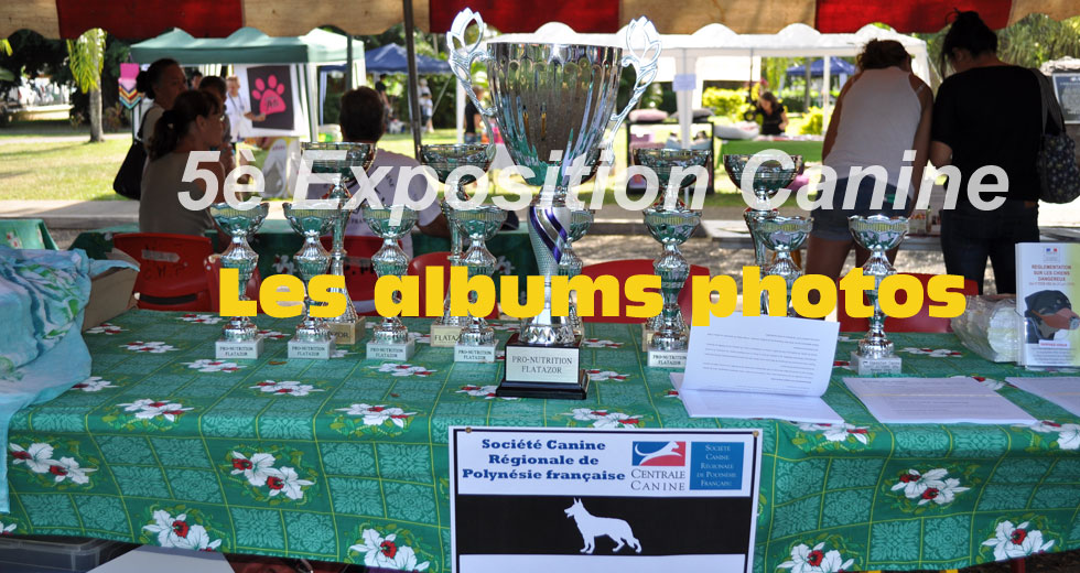 5è Exposition Canine : toutes les photos de l'événement